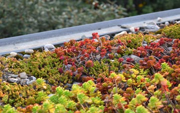 the cost of New Malden green roof installation