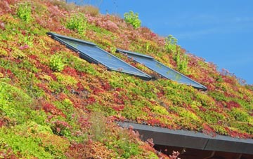 New Malden living roof systems
