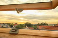 rated New Malden roof window companies